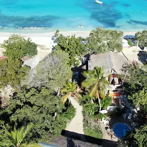 Tropic , Punta Rucia Dominican Republic
